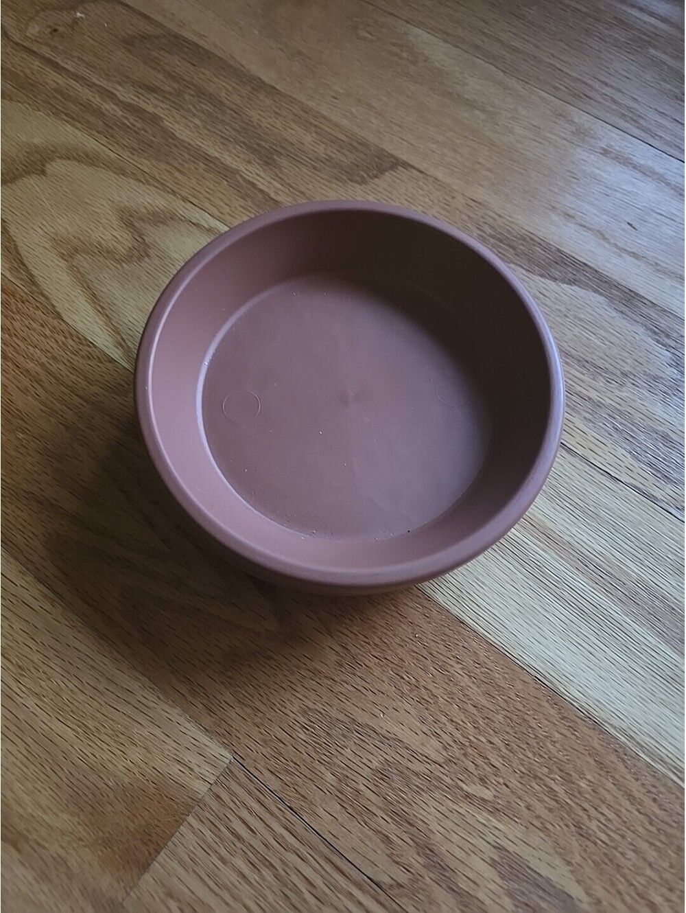 New 6 In Newbury Saucer In Light Terracotta Set Of 5 Indoor/Outdoor Plant Saucer